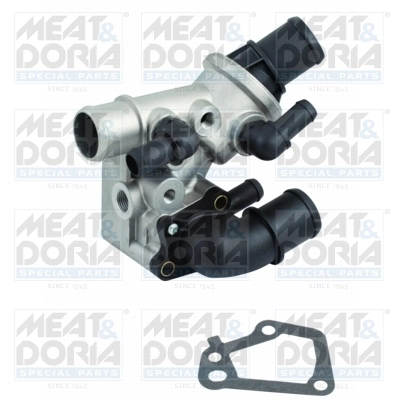 Thermostat, coolant